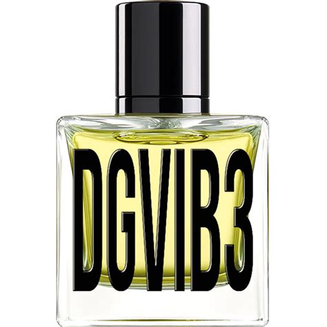 dolce gabbana dgvib3|what brand is dg.